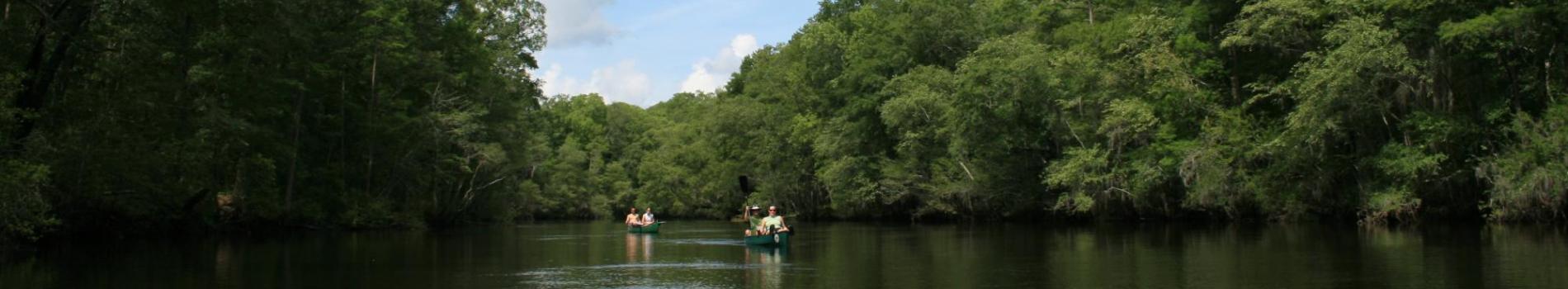 Edisto River