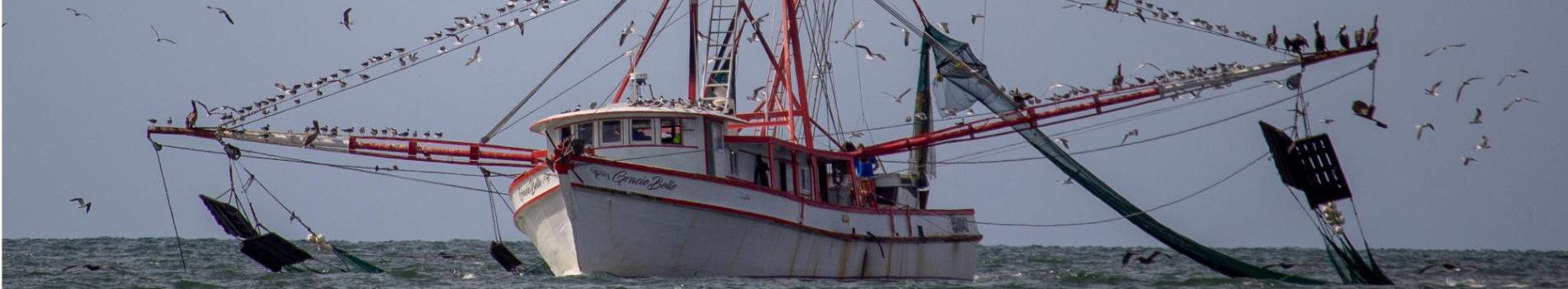 Picture of shrimp boat