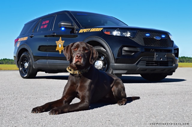 K9 Buddy and Vehicle