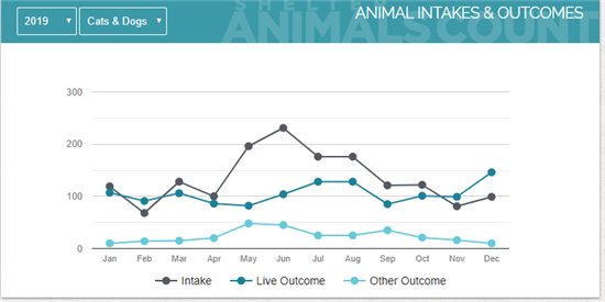 animal shelter statistics