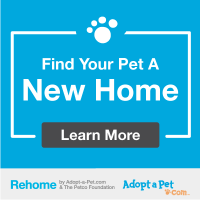 adopt a pet website ad